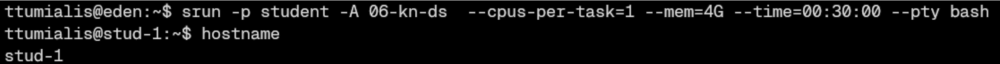 Starting an interactive session and checking the node name