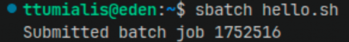 Submitting a job using sbatch