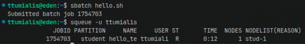 A running job visible in the Slurm queue